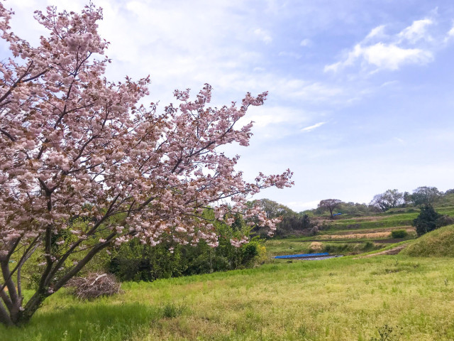 吉沢八景（ゆるぎの丘）